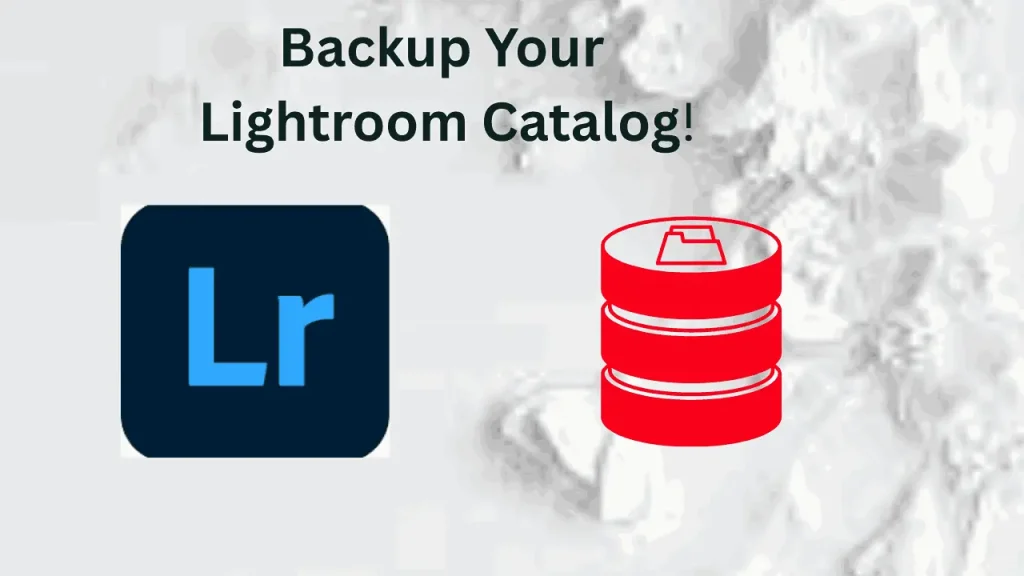 always have backup of your data in lightroom